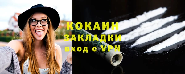спиды Бородино