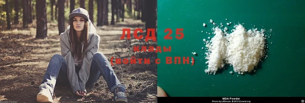 спиды Бородино