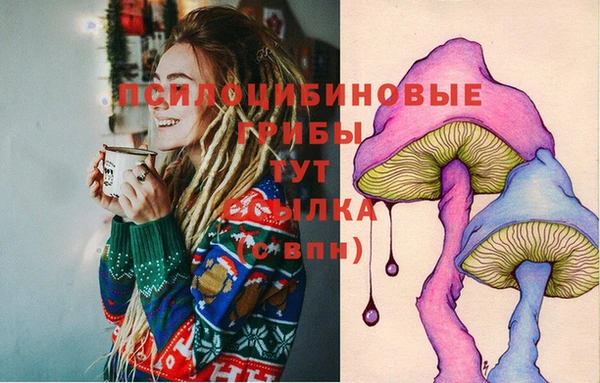 ПСИЛОЦИБИНОВЫЕ ГРИБЫ Бронницы