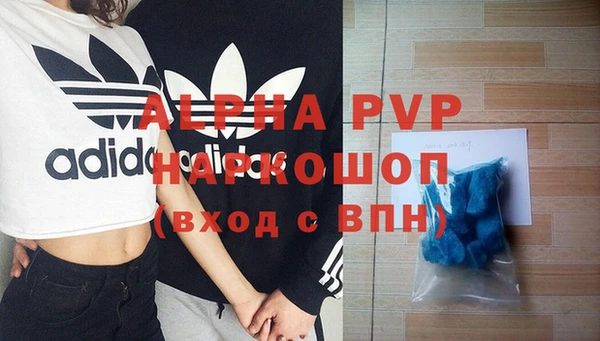 спиды Бородино