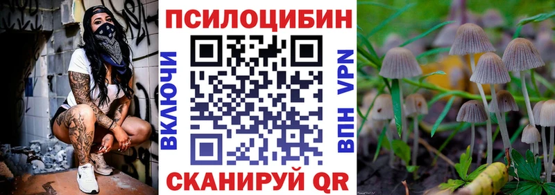 Псилоцибиновые грибы мухоморы  цены наркотик  Новосокольники 